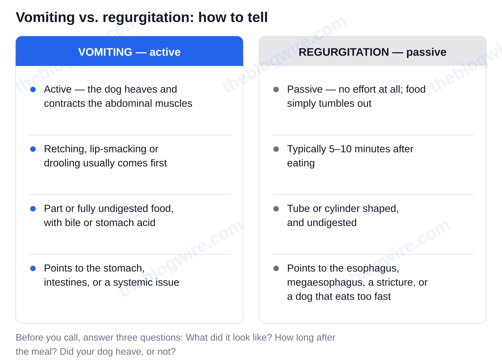 Vomiting versus regurgitation in dogs: active heaving with bile or stomach acid versus passive, tube-shaped undigested food 5 to 10 minutes after eating — why is my dog throwing up