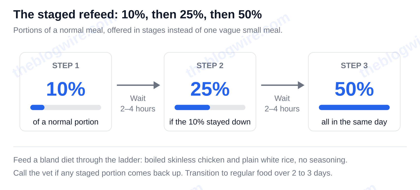 Staged refeed after vomiting: offer 10 percent of a normal portion, wait 2 to 4 hours, then 25 percent, wait again, then 50 percent, all within the same day — why is my dog throwing up