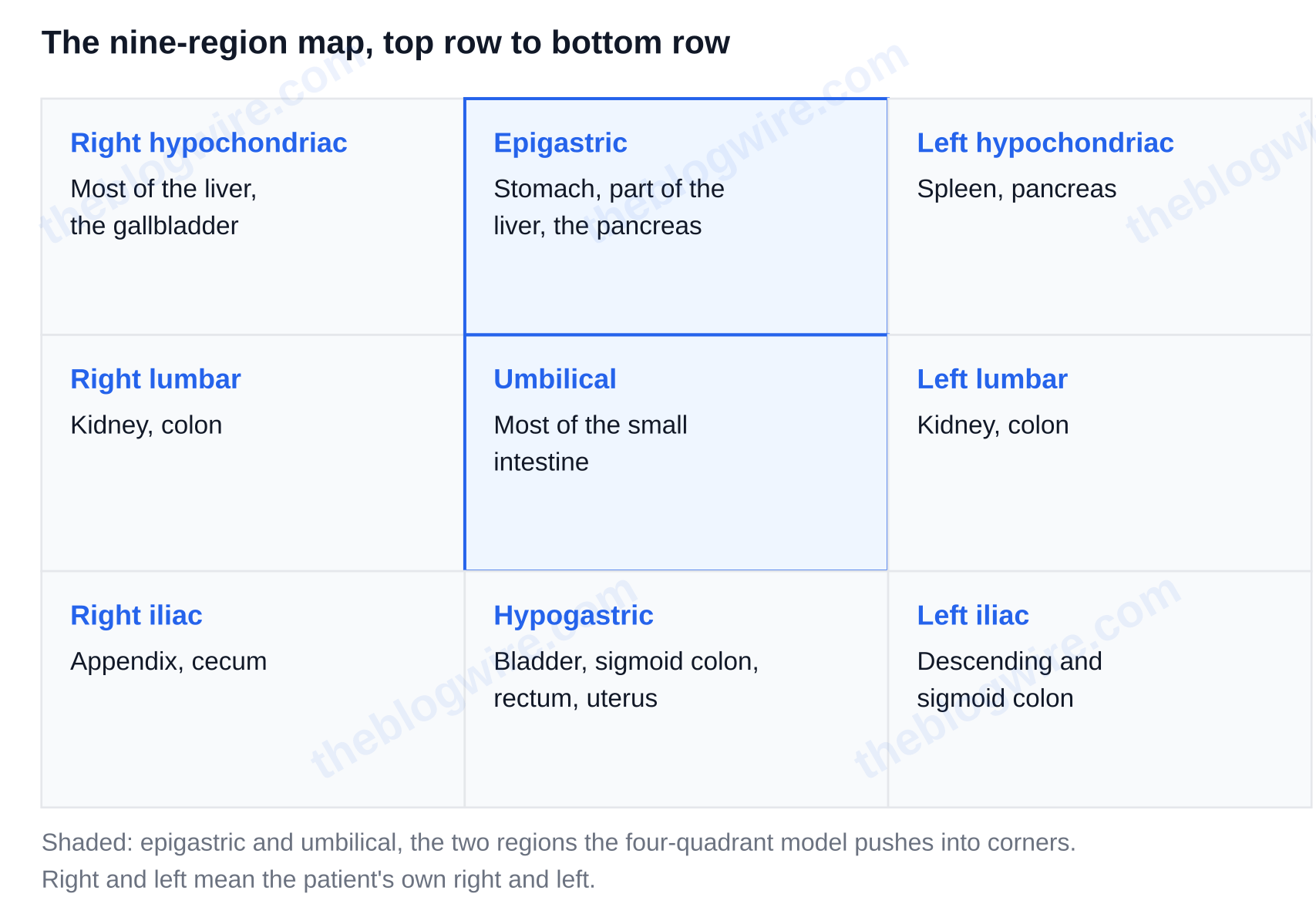 The nine-region abdominal map and the organs that sit in each region — stomach pain map