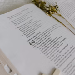 What Does Covenant Mean in the Bible? A Plain-English Definition